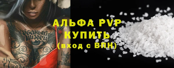 сатива Волоколамск
