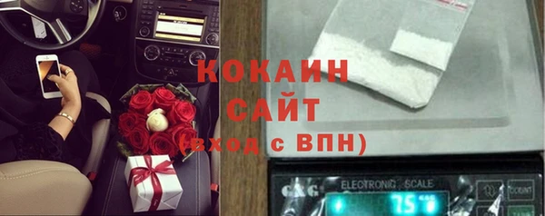 сатива Волоколамск
