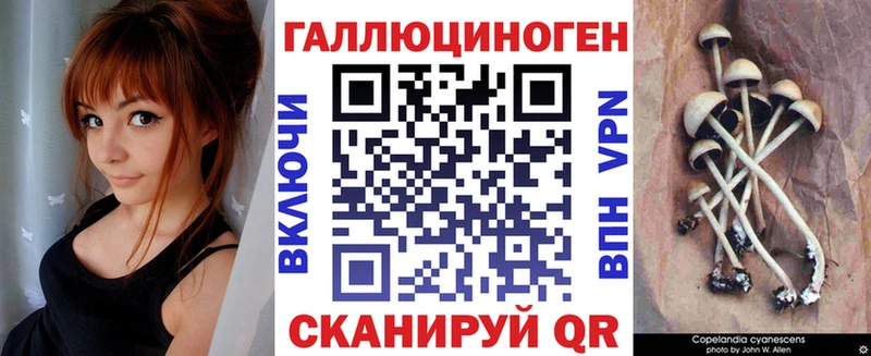 Псилоцибиновые грибы Psilocybe цена наркотик omg зеркало Верхоянск
